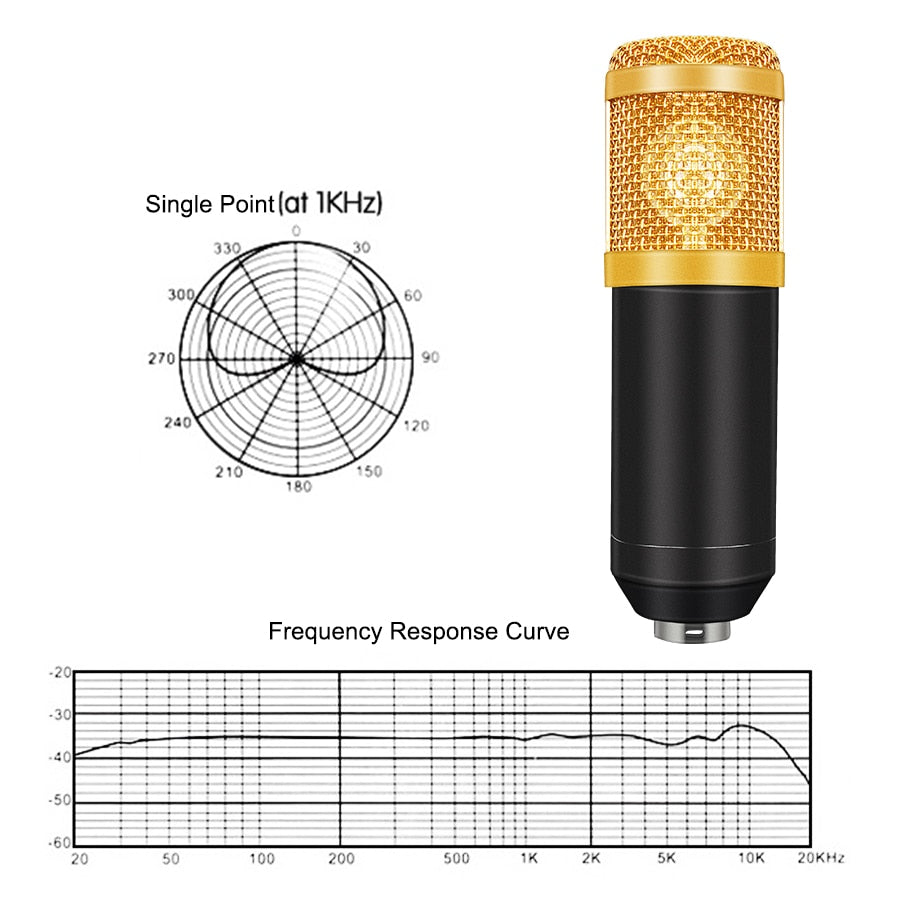 Professional Recording Microphone Set